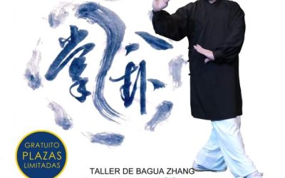 Taller3 de Bagua Zhang
